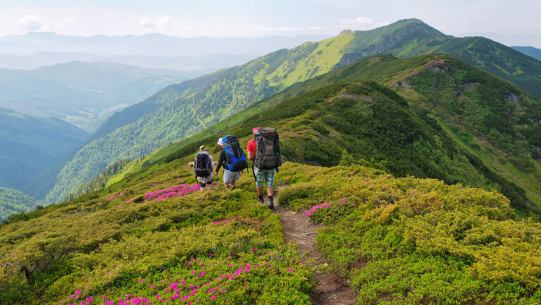 Unveiling the Charms of Yercaud: A Paradise in the Hills