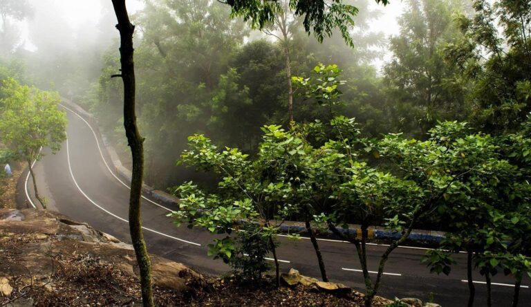 Yercaud in All Seasons: When to Visit for Different Experiences