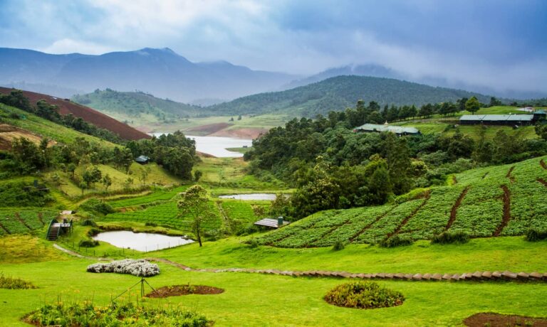 Family-Friendly Ooty: A Wholesome Retreat for All Ages