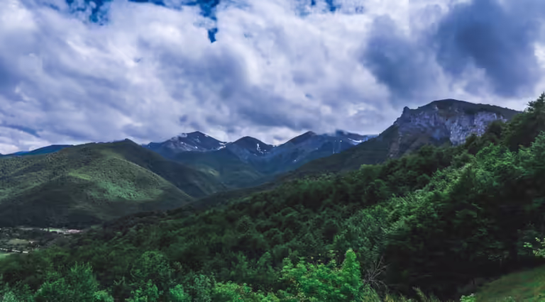 The Best Scenic Viewpoints in Ooty: Where to Catch the Perfect Sunset