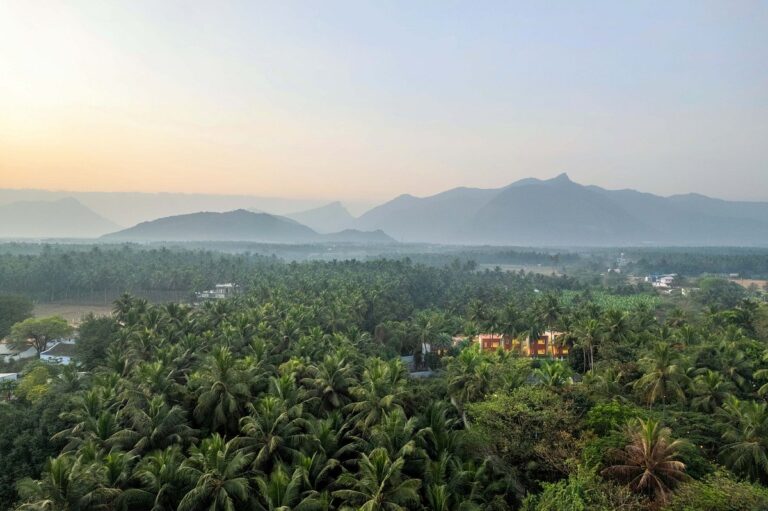 Spiritual Trail in Coimbatore: Visiting Isha, Marudamalai & More