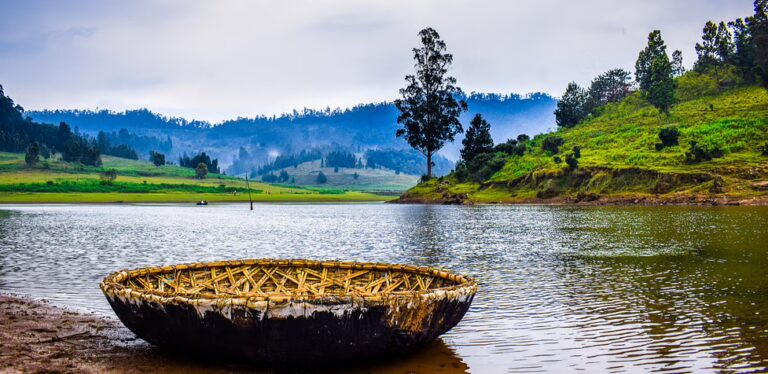 Kodaikanal for Families: Parks, Boating & Kid-Friendly Spots