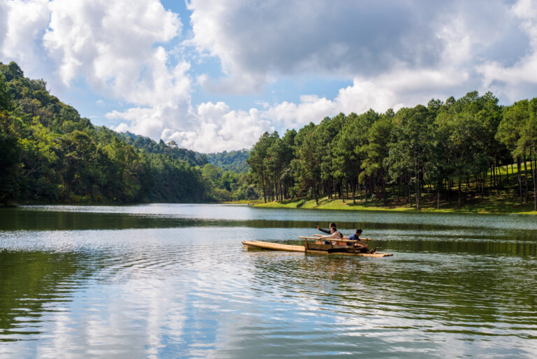 Exploring the Ooty Lake: Activities, Timings & Tips